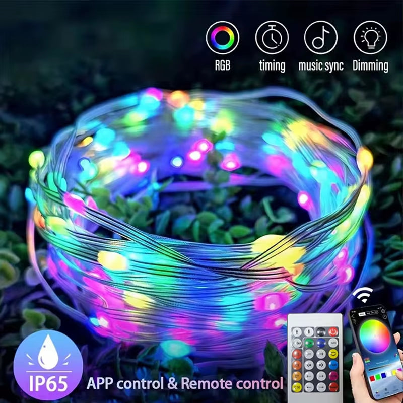 WS2812B RGB LED String 20M 10M 5M DIY Smart IC APP Bluetooth Remote Fairy Lights Dreamcolor Garden Party Christmas Wedding Decor