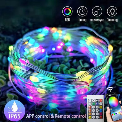 WS2812B RGB LED String 20M 10M 5M DIY Smart IC APP Bluetooth Remote Fairy Lights Dreamcolor Garden Party Christmas Wedding Decor